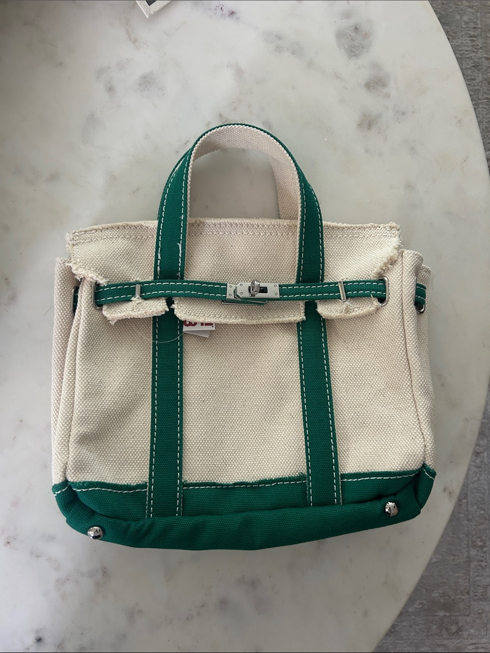 Sunwin viral Canvas Tote Bag with Green Trim - Small Women's Handbag